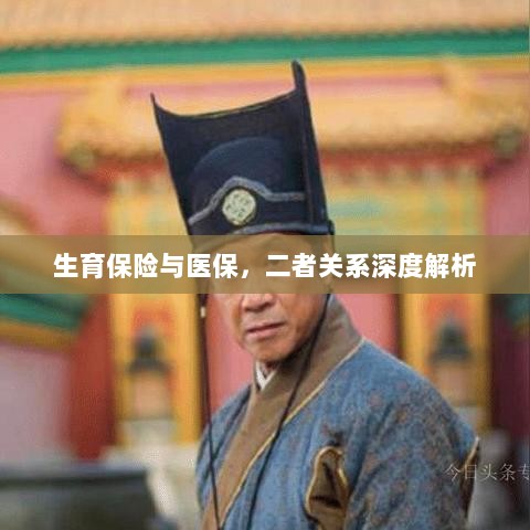 生育保险与医保的关系深度探讨与解析-图1 生育保险与医保的关系深度探讨与解析-图1