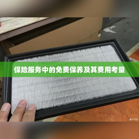 保险服务中的免费保养费用深度解析-图1
