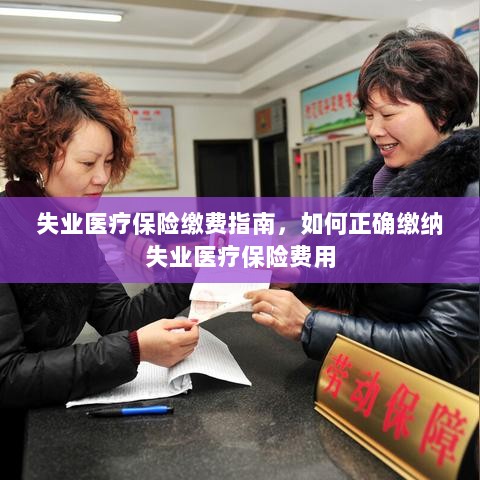 失业医疗保险缴费详解,如何正确缴纳费用指南-图1 失业医疗保险缴费详解,如何正确缴纳费用指南-图1