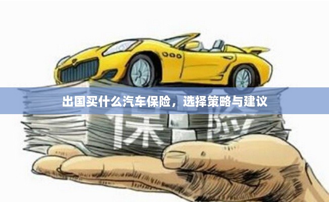出国购车保险指南，选择策略与建议-图1