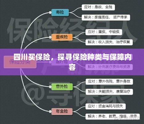 四川保险探秘，种类与保障内容全解析-图1