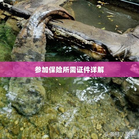 保险参保所需证件详解-图1 保险参保所需证件详解-图1