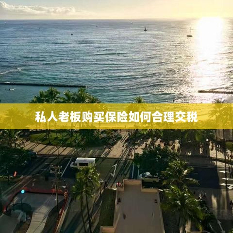 私人老板购买保险的合理税务规划之道-图1 私人老板购买保险的合理税务规划之道-图1