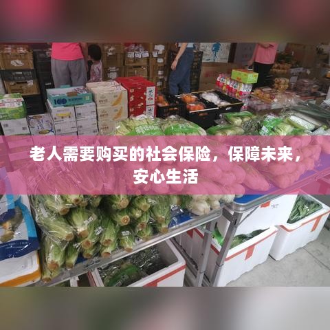 老人社会保险,保障未来,安心生活-图1 老人社会保险,保障未来,安心生活-图1