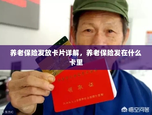 养老保险发放卡片详解，卡片类型与发放流程-图1