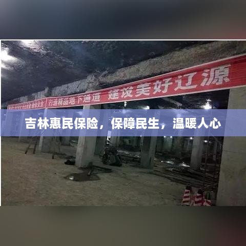 吉林惠民保险,守护民生,温情满人心-图1 吉林惠民保险,守护民生,温情满人心-图1