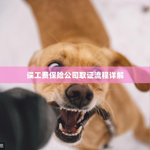 保险公司误工费取证流程详解-图1