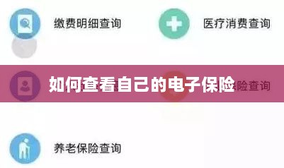 如何查看个人电子保险保单详情-图1 如何查看个人电子保险保单详情-图1