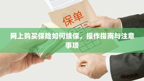 网上购买保险续保攻略，操作指南与注意事项-图1