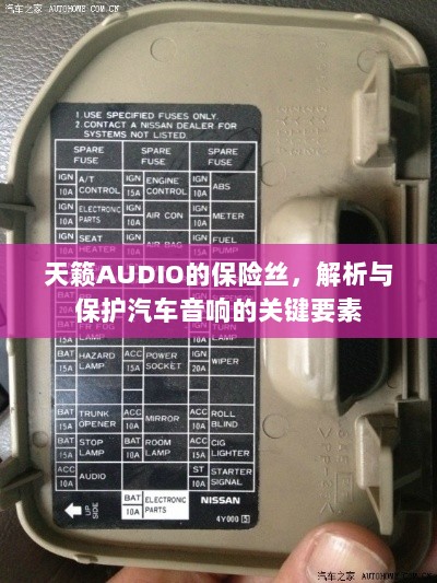天籁AUDIO保险丝,解析汽车音响保护的关键要素-图1 天籁AUDIO保险丝,解析汽车音响保护的关键要素-图1