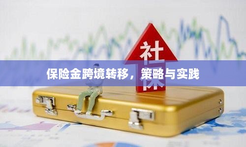 保险金跨境转移的策略与实践探讨-图1