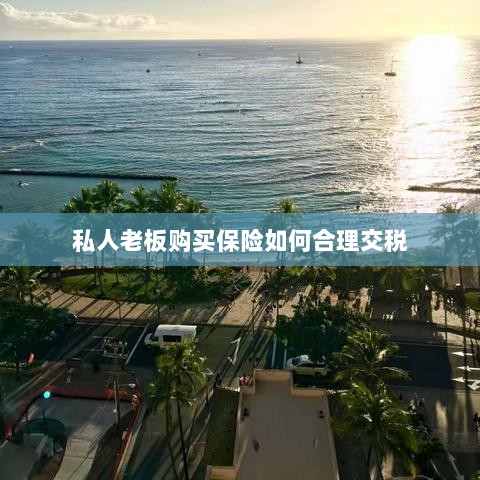 私人老板购买保险的合理税务规划之道-图1
