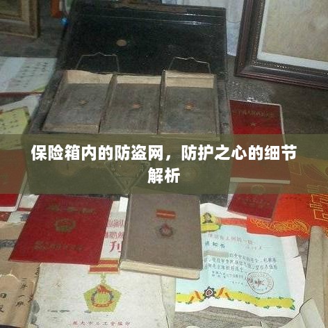 保险箱内防盗网,细节解析与防护之心探讨-图1 保险箱内防盗网,细节解析与防护之心探讨-图1