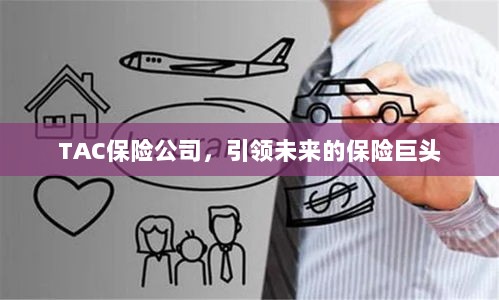 TAC保险公司,引领保险行业未来巨头之路-图1 TAC保险公司,引领保险行业未来巨头之路-图1