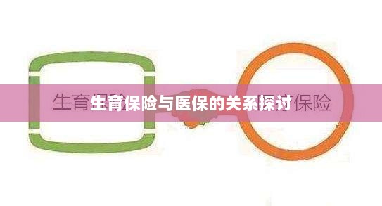 生育保险与医保关系深度探讨,融合与协同发展的视角-图1 生育保险与医保关系深度探讨,融合与协同发展的视角-图1