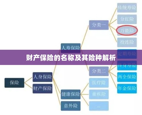 财产保险名称及险种深度解析-图1