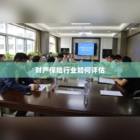 财产保险行业评估方法与策略解析-图1 财产保险行业评估方法与策略解析-图1