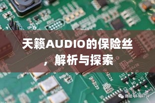 天籁AUDIO保险丝解析与探索-图1