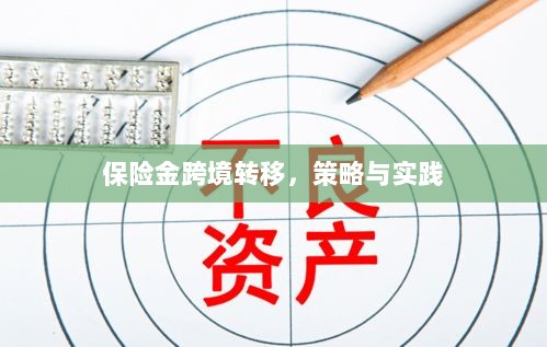 保险金跨境转移的策略与实践探讨-图1