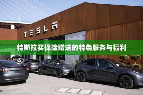 特斯拉保险特惠,独家特色服务与丰厚赠品等你来享-图1 特斯拉保险特惠,独家特色服务与丰厚赠品等你来享-图1