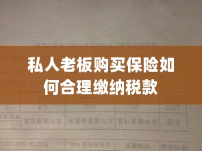 私人老板购买保险如何合理缴税,策略与指南-图1 私人老板购买保险如何合理缴税,策略与指南-图1