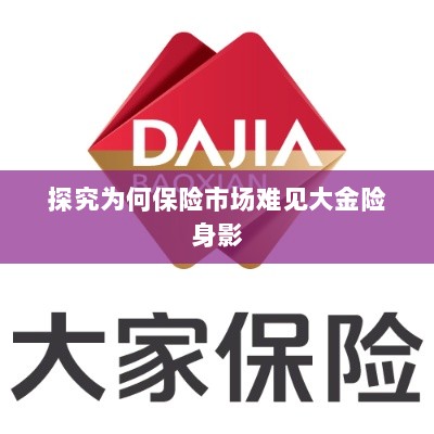 大金险在保险市场难觅踪迹的探究-图1 大金险在保险市场难觅踪迹的探究-图1