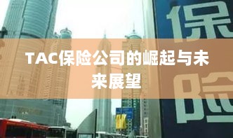 TAC保险公司的崛起及未来展望-图1 TAC保险公司的崛起及未来展望-图1