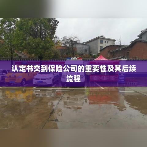认定书对保险公司的重要性及后续流程详解-图1 认定书对保险公司的重要性及后续流程详解-图1