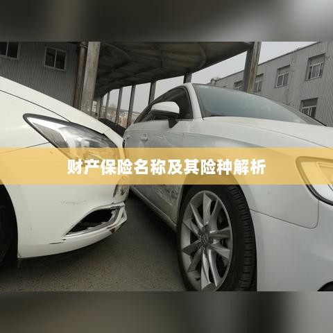财产保险名称及其险种深度解析-图1 财产保险名称及其险种深度解析-图1