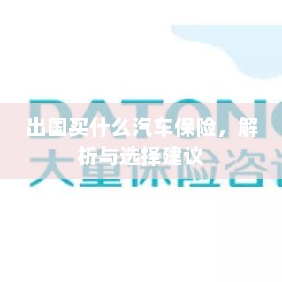 出国购车保险指南,解析与选择建议-图1 出国购车保险指南,解析与选择建议-图1