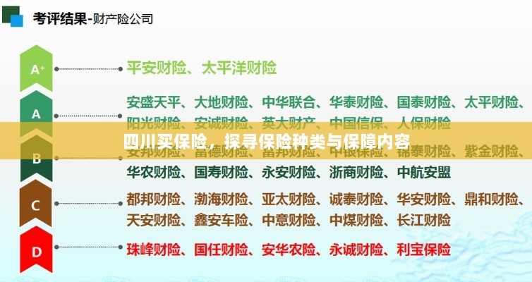 四川保险探秘，种类与保障内容全解析-图1