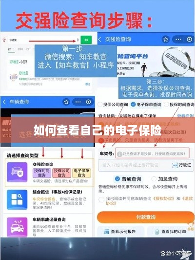 如何查看个人电子保险保单详情-图1 如何查看个人电子保险保单详情-图1