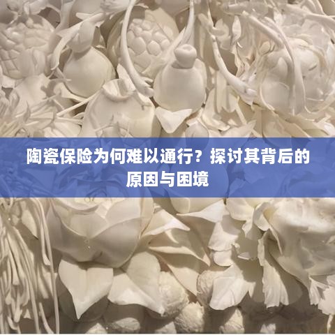 陶瓷保险难通行背后的原因与困境探讨-图1 陶瓷保险难通行背后的原因与困境探讨-图1