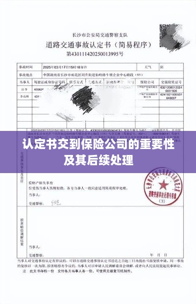 认定书交到保险公司的重要性及后续处理流程详解-图1 认定书交到保险公司的重要性及后续处理流程详解-图1