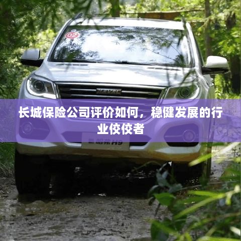 长城保险公司评价积极，行业稳健发展的佼佼者-图1
