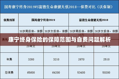 康宁终身保险保障范围及自费问题详解-图1 康宁终身保险保障范围及自费问题详解-图1