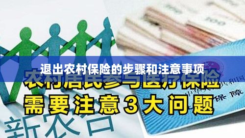 退出农村保险的步骤及注意事项详解-图1 退出农村保险的步骤及注意事项详解-图1