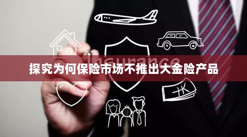 保险市场为何不推出大金险产品探究-图1