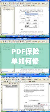 PDF保险单修改指南-图1 PDF保险单修改指南-图1