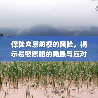 保险易忽视风险揭秘,隐患与应对策略全解析-图1 保险易忽视风险揭秘,隐患与应对策略全解析-图1