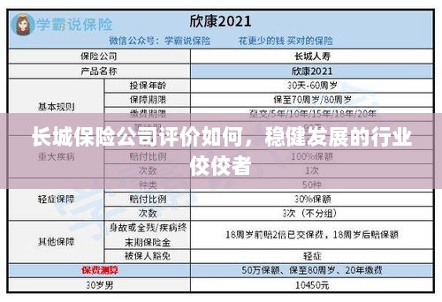 长城保险公司评价积极,行业稳健发展的佼佼者-图1 长城保险公司评价积极,行业稳健发展的佼佼者-图1