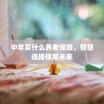 智慧选择养老保险，中年人的未来保障之选-图1