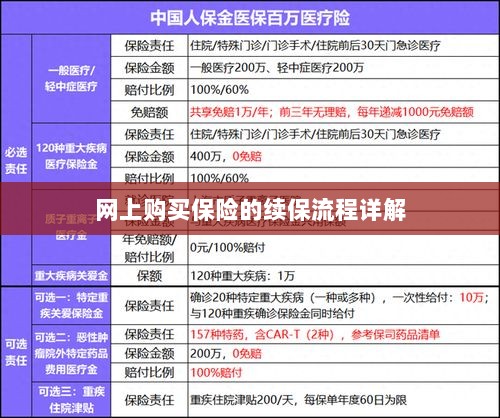 网上保险续保流程详解-图1 网上保险续保流程详解-图1