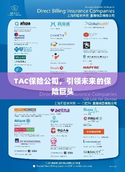TAC保险公司，引领保险行业未来巨头之路-图1