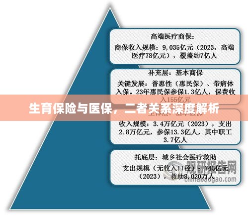 生育保险与医保的关系深度探讨与解析-图1