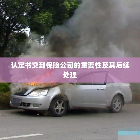 认定书交到保险公司的重要性及后续处理流程详解-图1 认定书交到保险公司的重要性及后续处理流程详解-图1