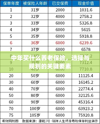 中年养老保险选择与规划的关键要素解析-图1 中年养老保险选择与规划的关键要素解析-图1