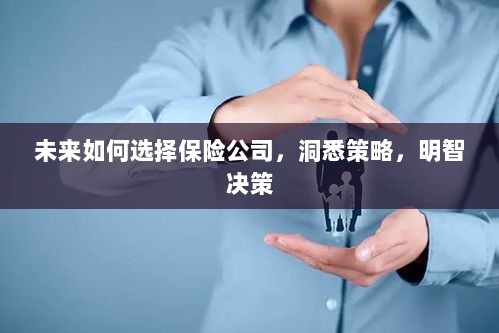 未来如何选择保险公司，策略洞察与明智决策-图1