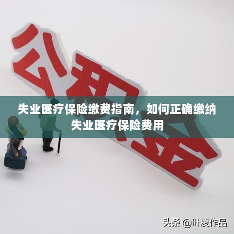 失业医疗保险缴费详解，如何正确缴纳费用指南-图1