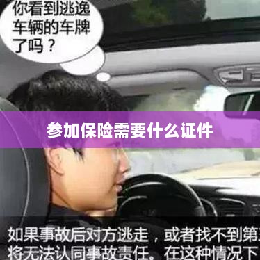 参加保险所需证件概览-图1